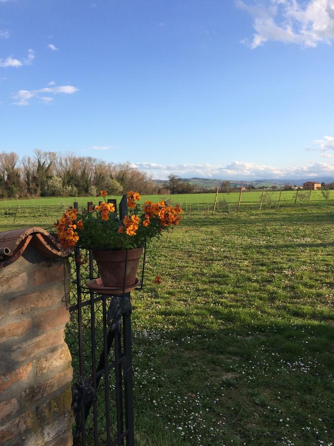 포를리 Agriturismo Il Pettirosso 게스트하우스 외부 사진